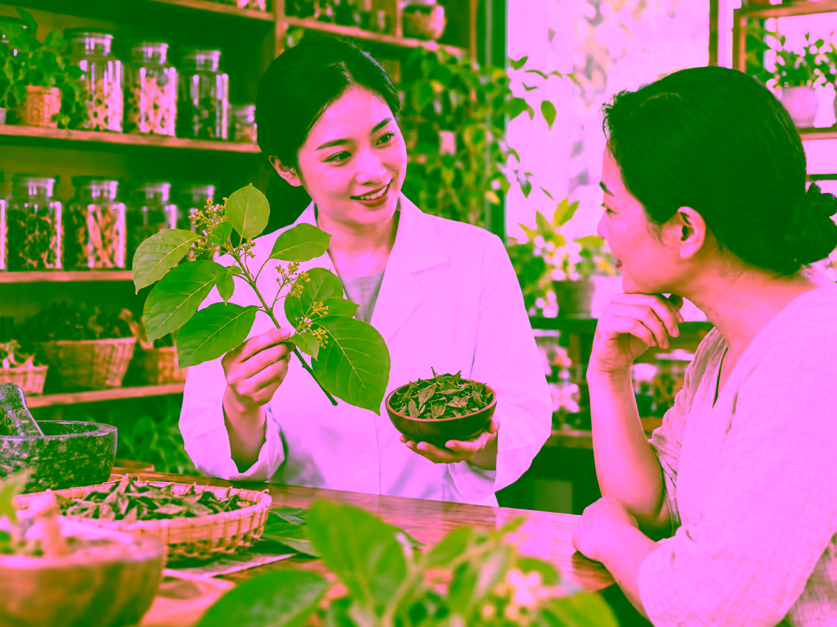 Dược sĩ giới thiệu cây đại bi