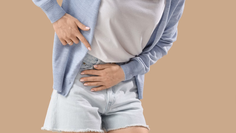 Sơ đồ giải phẫu vị trí các cơ quan tại vùng bụng dưới bên phải