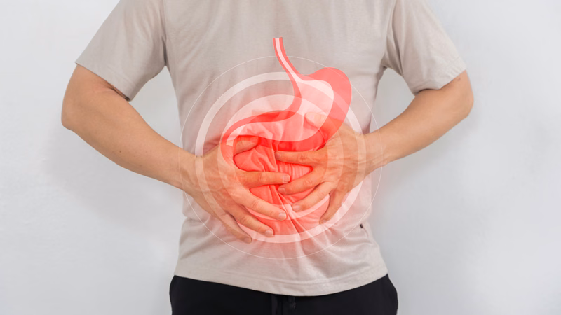 Các thực phẩm giàu protein lành mạnh từ cá trứng đậu và các loại hạt
