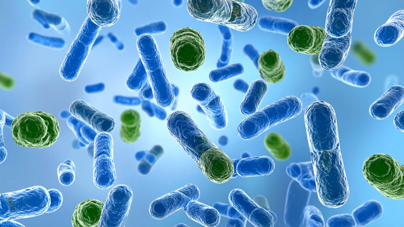 Hình ảnh vi khuẩn Clostridium botulinum sinh độc tố botulinum gây ngộ độc thực phẩm