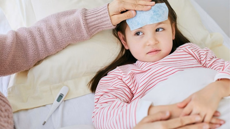 Hình ảnh đặc điểm phân biệt viêm não Nhật Bản và sốt xuất huyết