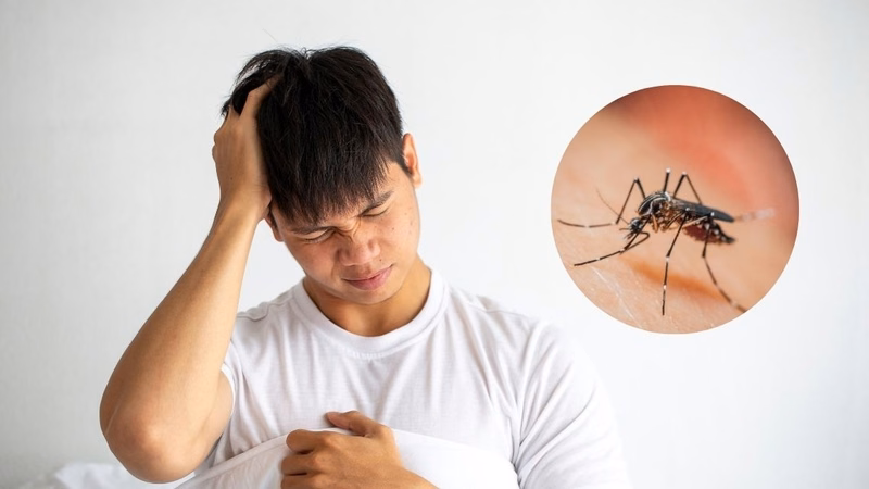 Bảng so sánh và phân biệt viêm não Nhật Bản với sốt xuất huyết
