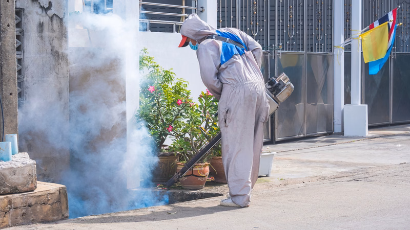 Môi trường ẩm thấp và các vật dụng chứa nước đọng tại khu nhà trọ tạo điều kiện cho muỗi vằn phát triển