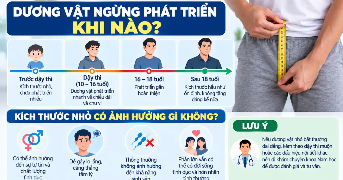 Dương vật ngừng phát triển khi nào và kích thước nhỏ có ảnh hưởng gì không