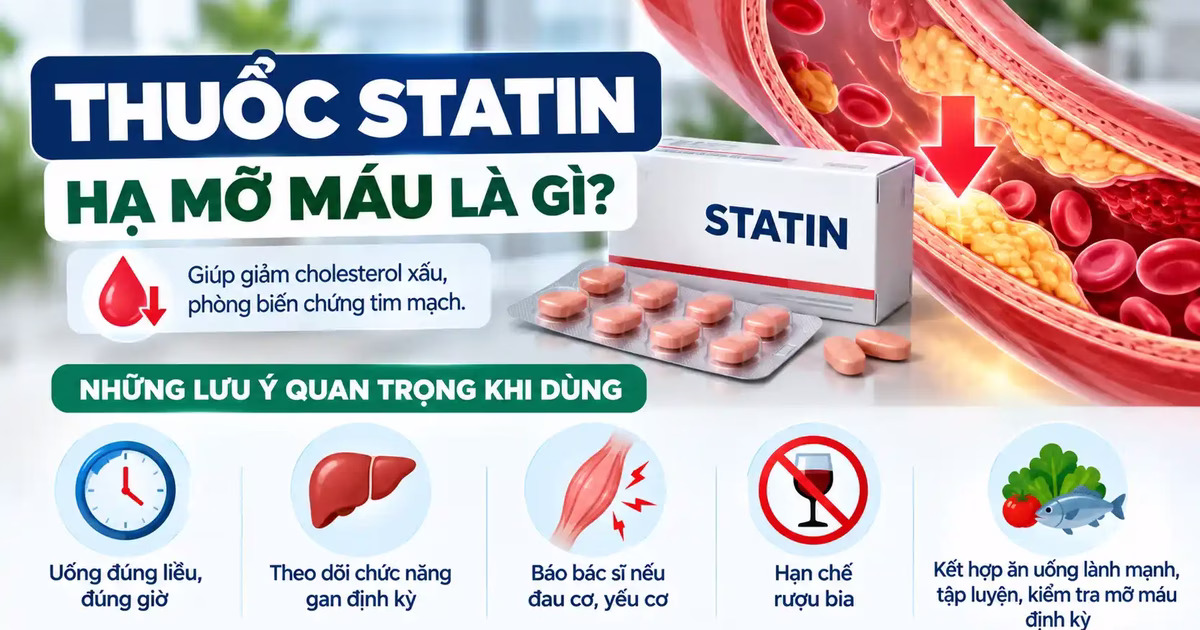 Thuốc statin hạ mỡ máu là gì và những lưu ý quan trọng khi dùng