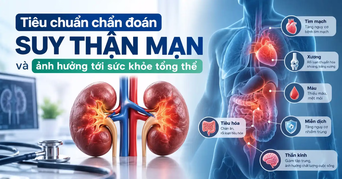 Tiêu chuẩn chẩn đoán suy thận mạn và ảnh hưởng tới sức khỏe tổng thể