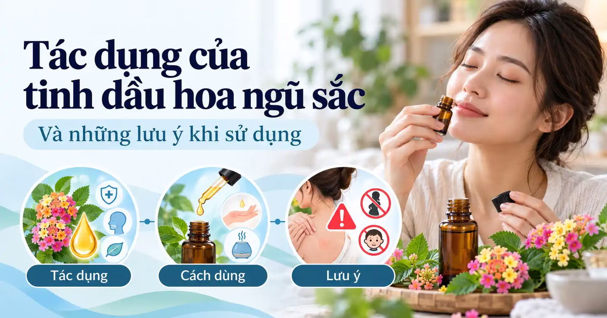 Tác dụng của tinh dầu hoa ngũ sắc và những lưu ý khi sử dụng