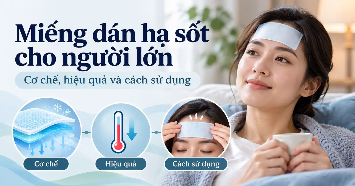 Miếng dán hạ sốt cho người lớn: Cơ chế, hiệu quả và cách sử dụng