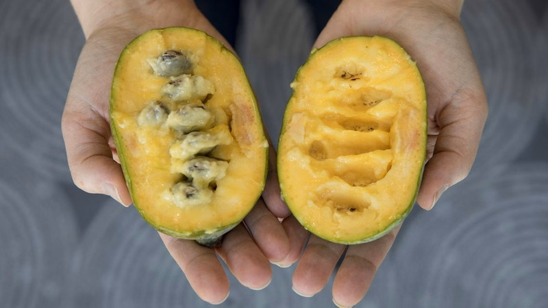Thành phần dinh dưỡng dồi dào có trong quả pawpaw