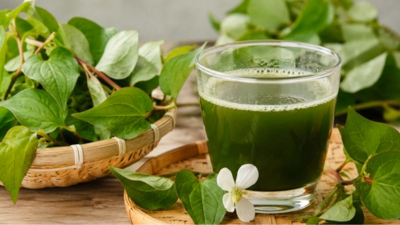 Uống nước rau diếp cá quá nhiều có thể gây ảnh hưởng đến hệ tiêu hóa