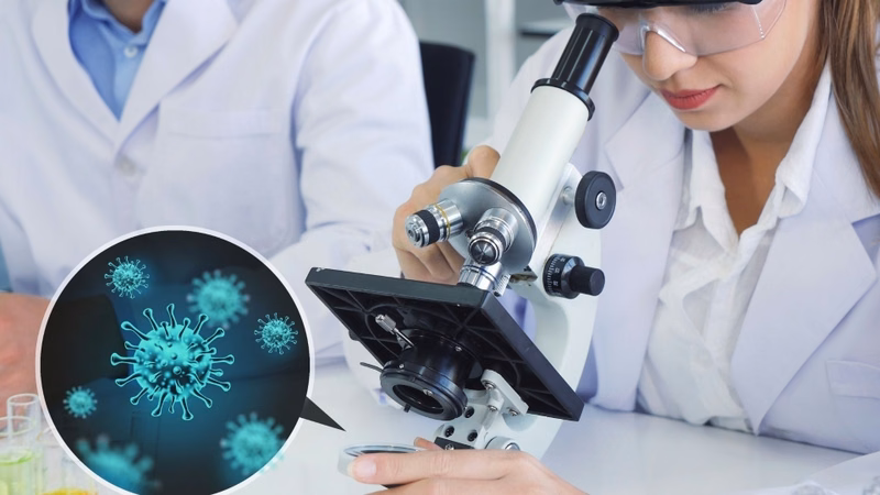 Quy trình nghiên cứu và ứng dụng sinh phẩm y tế trong y học