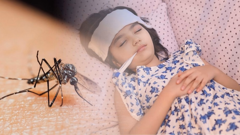 Biện pháp nằm màn phòng ngừa muỗi vằn chích truyền sốt xuất huyết
