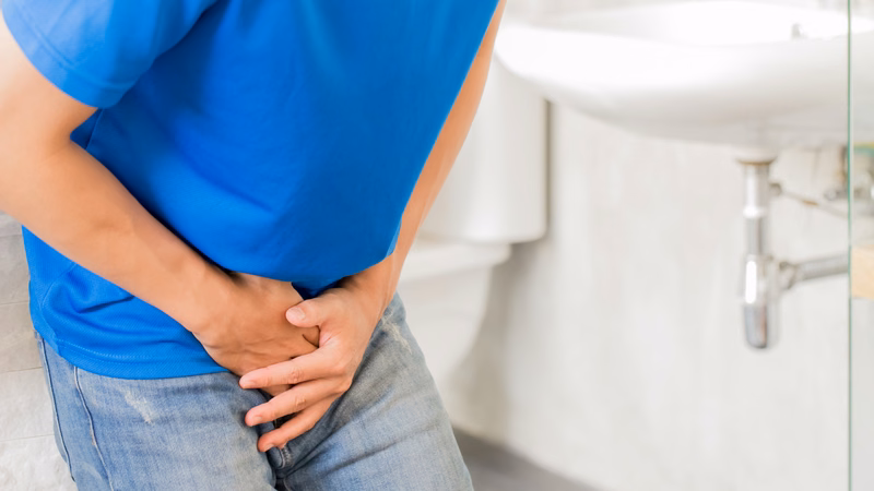 Mô phỏng vị trí giải phẫu của tuyến tiền liệt và bàng quang ở nam giới