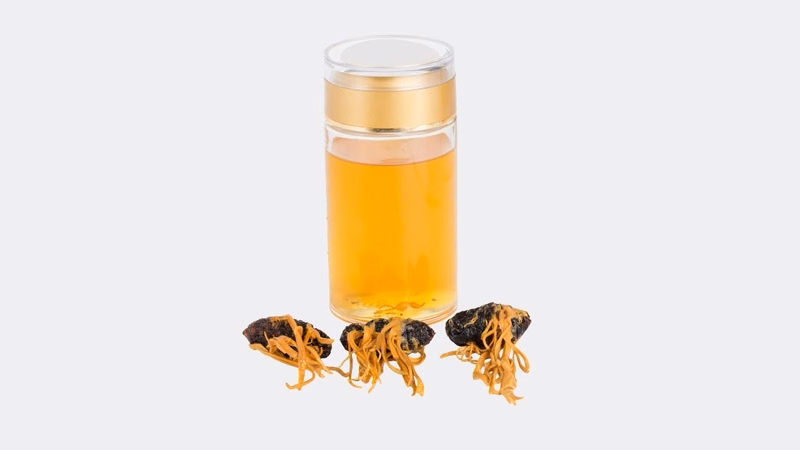 Đông trùng hạ thảo khô nguyên con dùng để bồi bổ sức khỏe