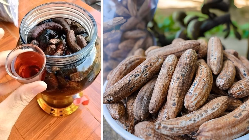 Quả chuối hột khô làm nguyên liệu ngâm rượu