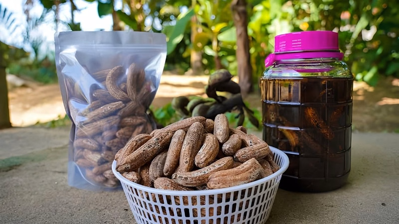 Bình rượu ngâm chuối hột dân gian hỗ trợ sức khỏe