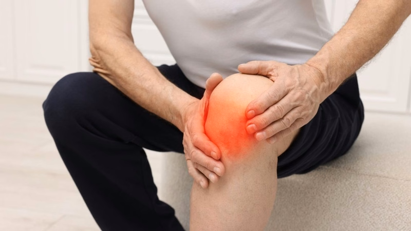 Hình ảnh minh họa khớp gối và vị trí gân bánh chè cần phục hồi