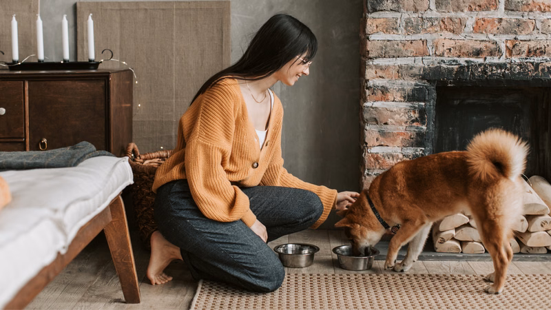 Thói quen rửa tay bằng xà phòng sau khi tiếp xúc thú cưng giúp phòng ngừa nhiễm giun đũa chó mèo