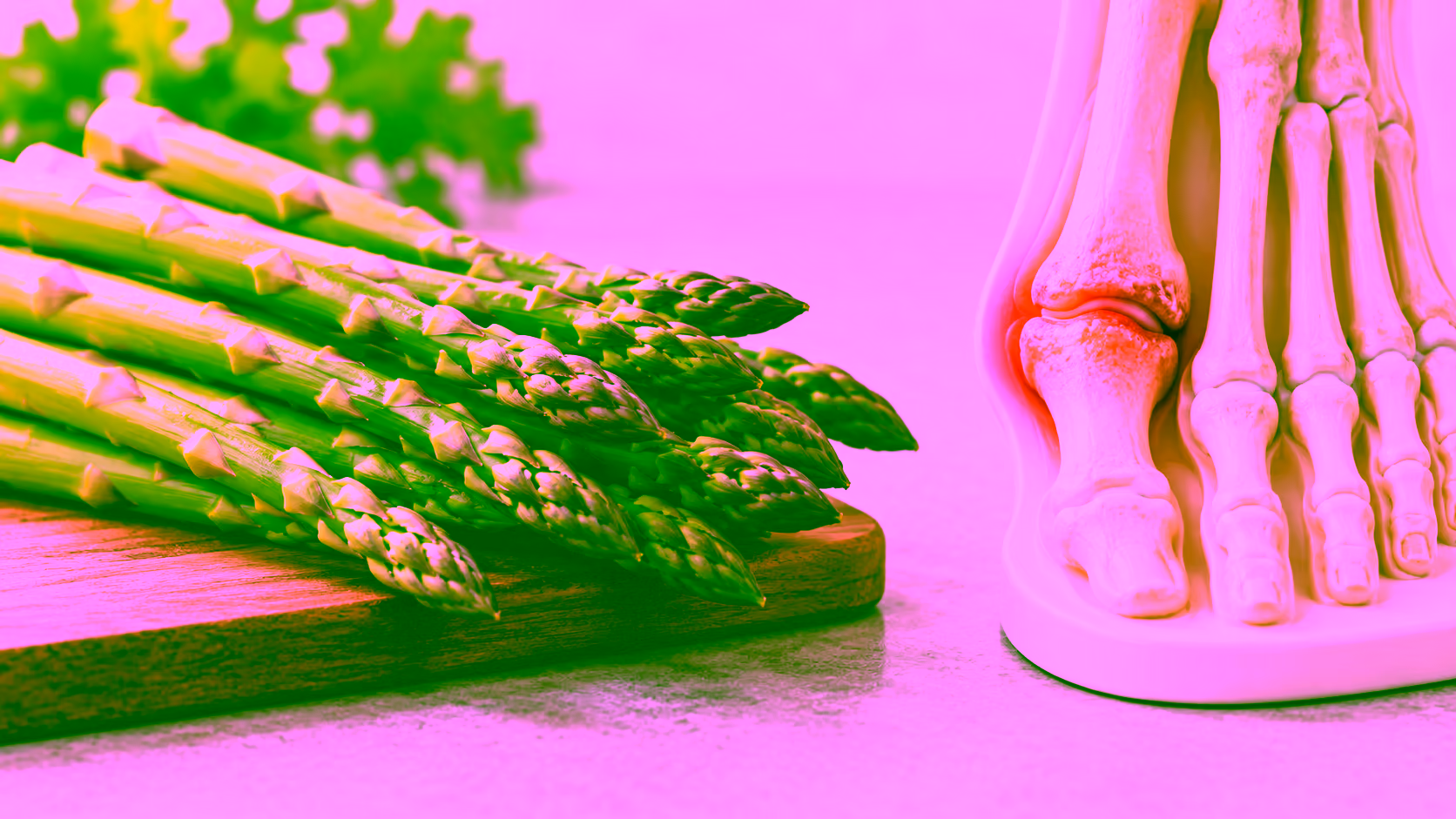 Minh hoạ bệnh gout và măng tây