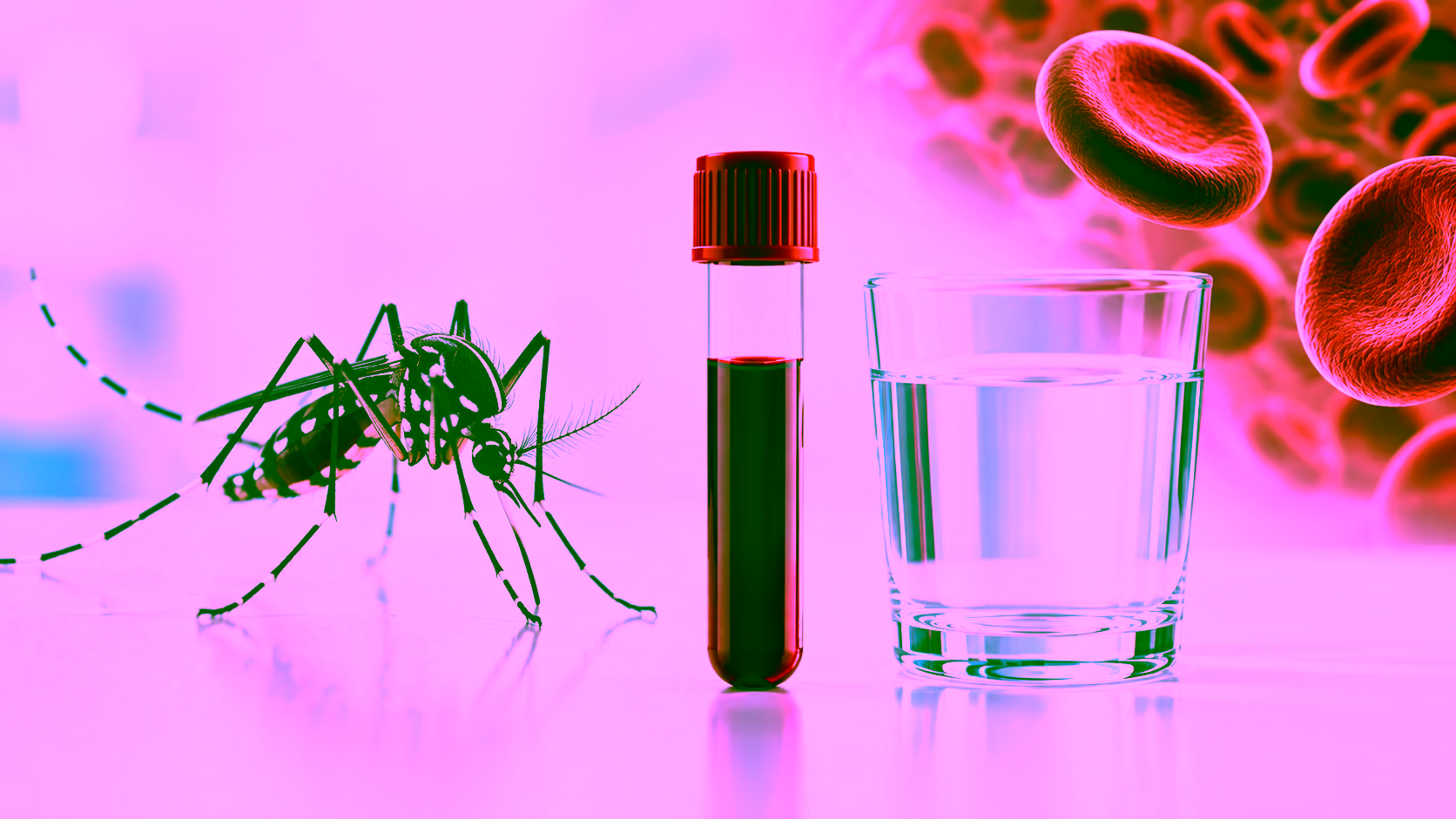 Minh hoạ bệnh sốt xuất huyết Dengue