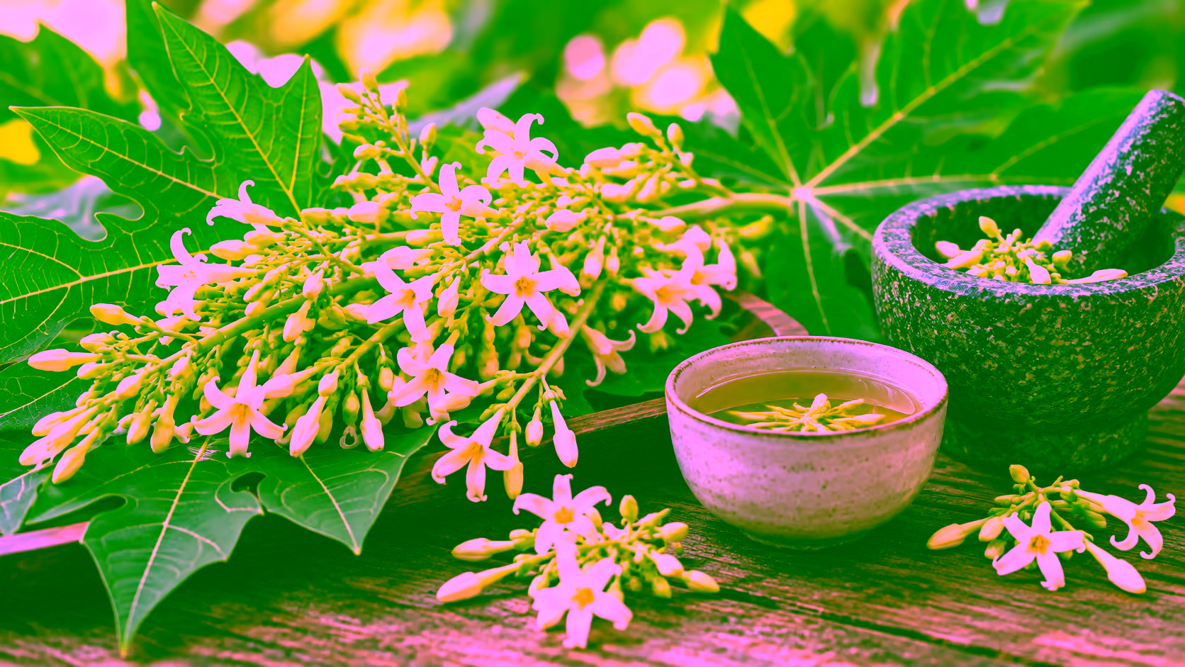 Minh hoạ bông đu đủ đực