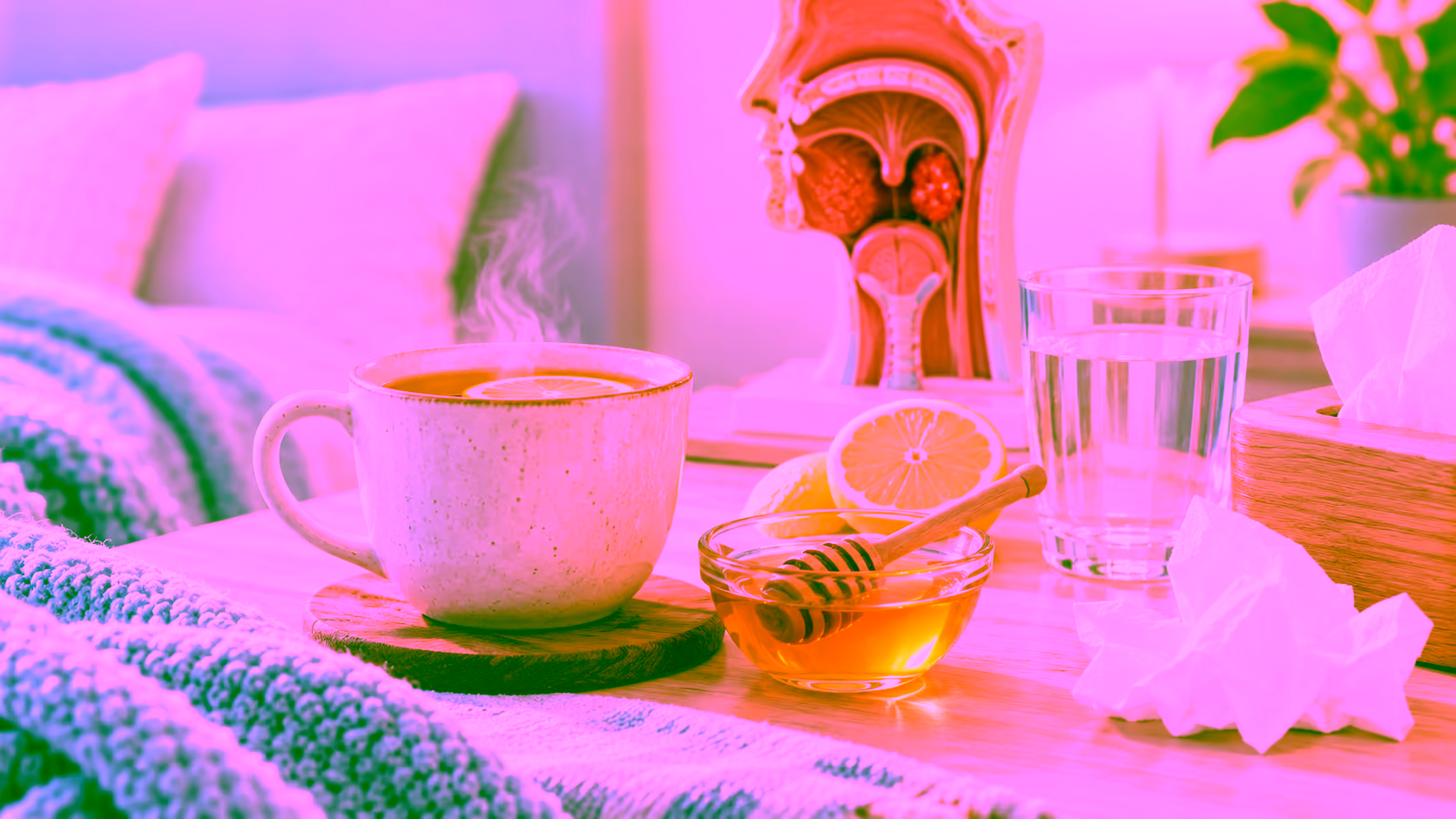 Minh hoạ chăm sóc viêm amidan