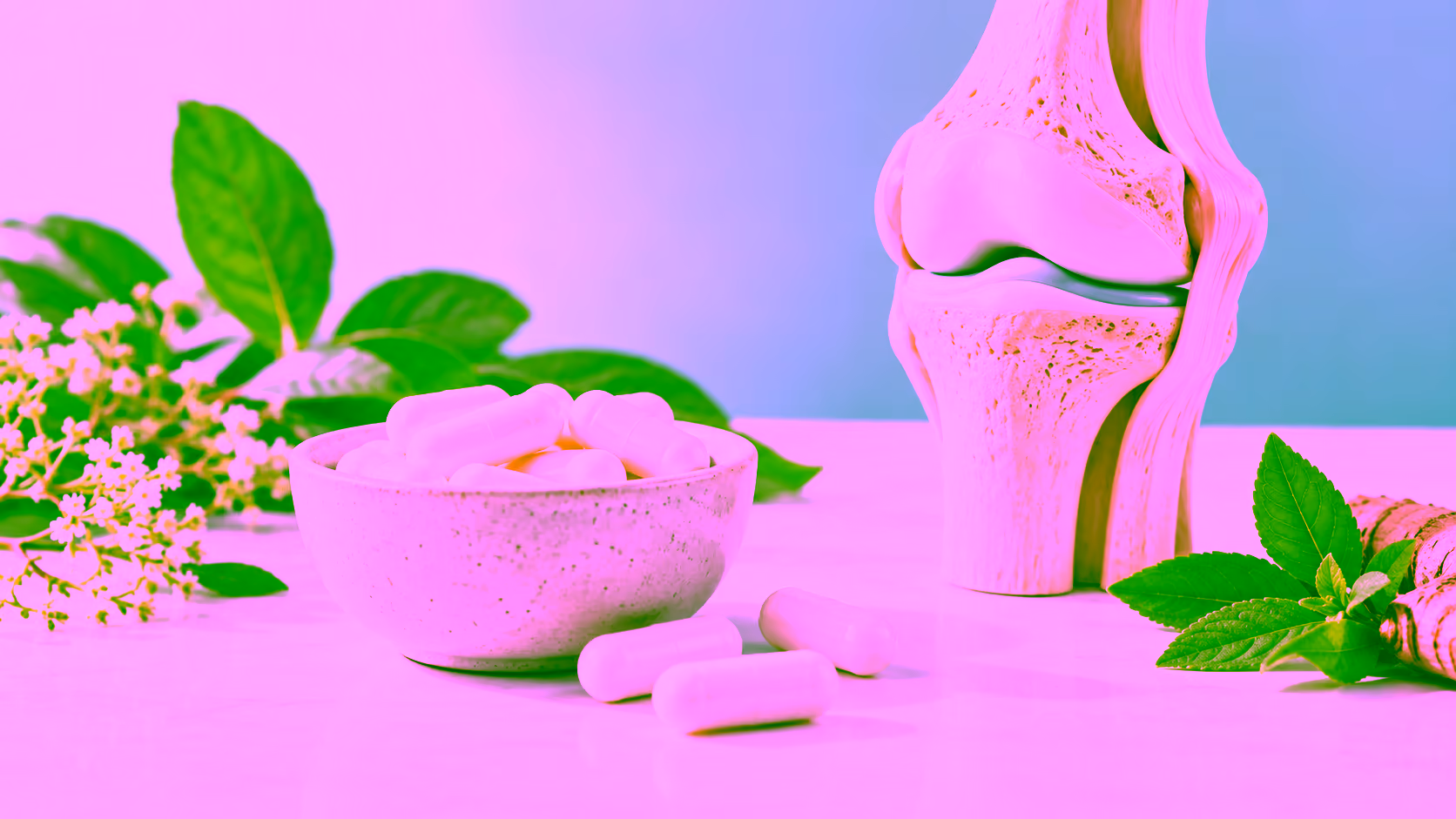 Minh hoạ glucosamine hỗ trợ khớp