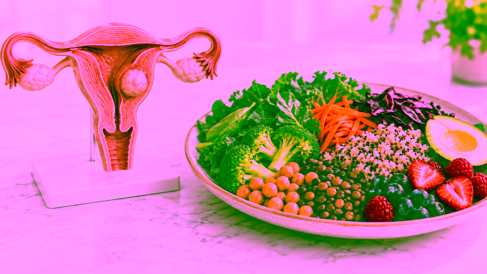 Minh hoạ nhân xơ tử cung và chế độ ăn