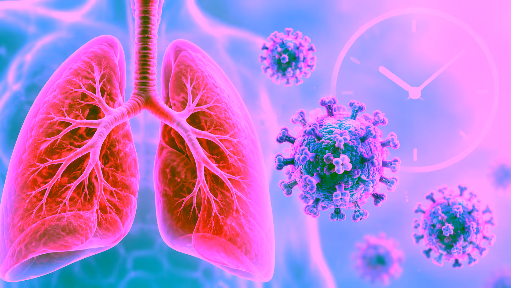 Minh hoạ virus RSV và đường hô hấp