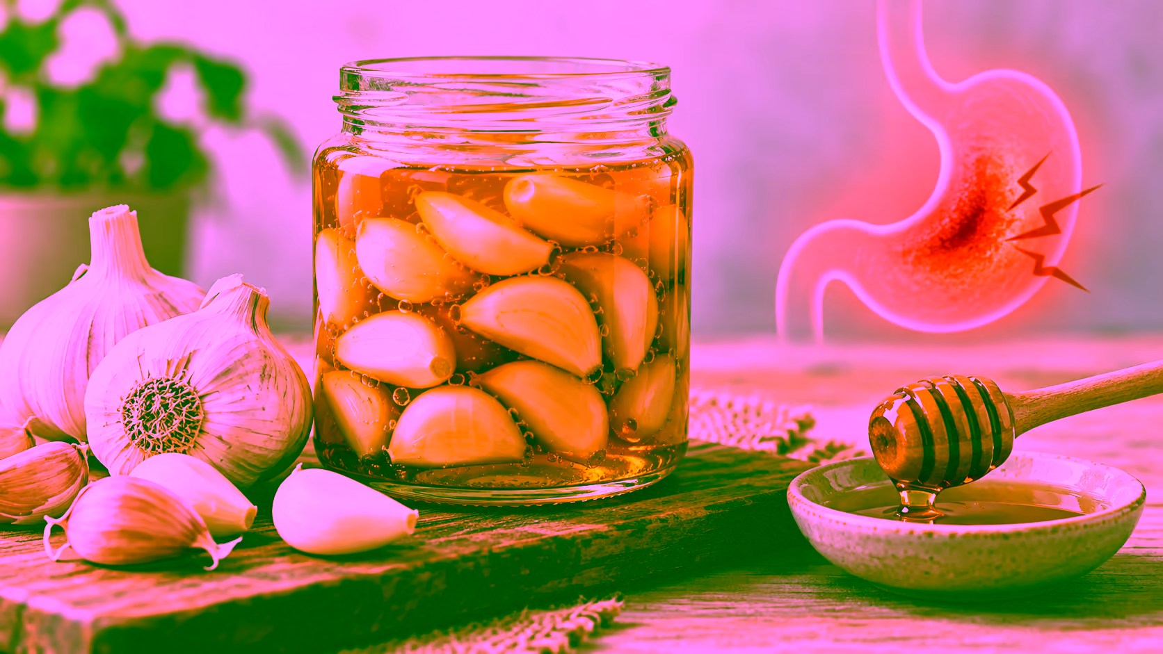 Minh hoạ tỏi ngâm mật ong