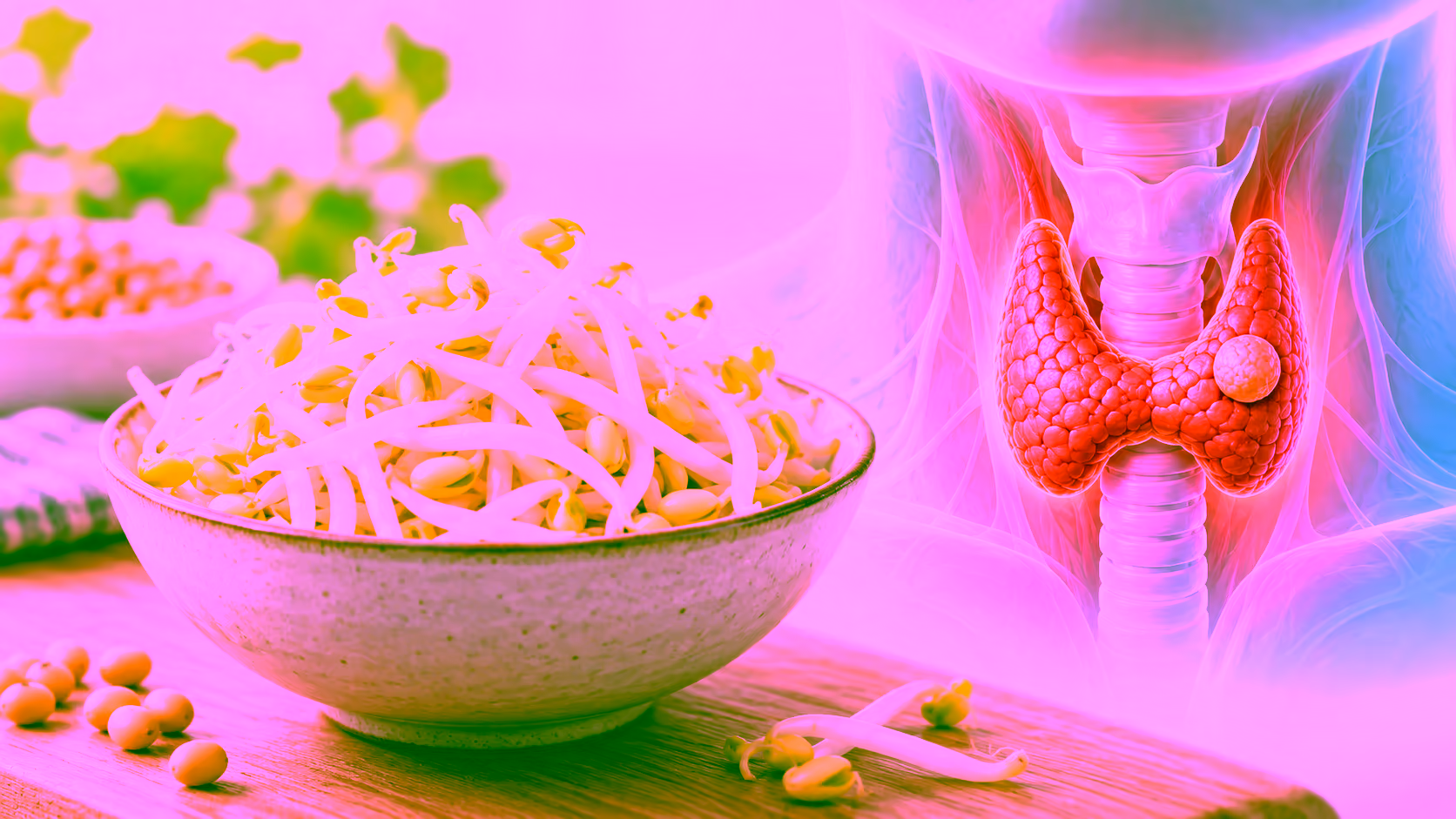 Minh hoạ giá đỗ và tuyến giáp