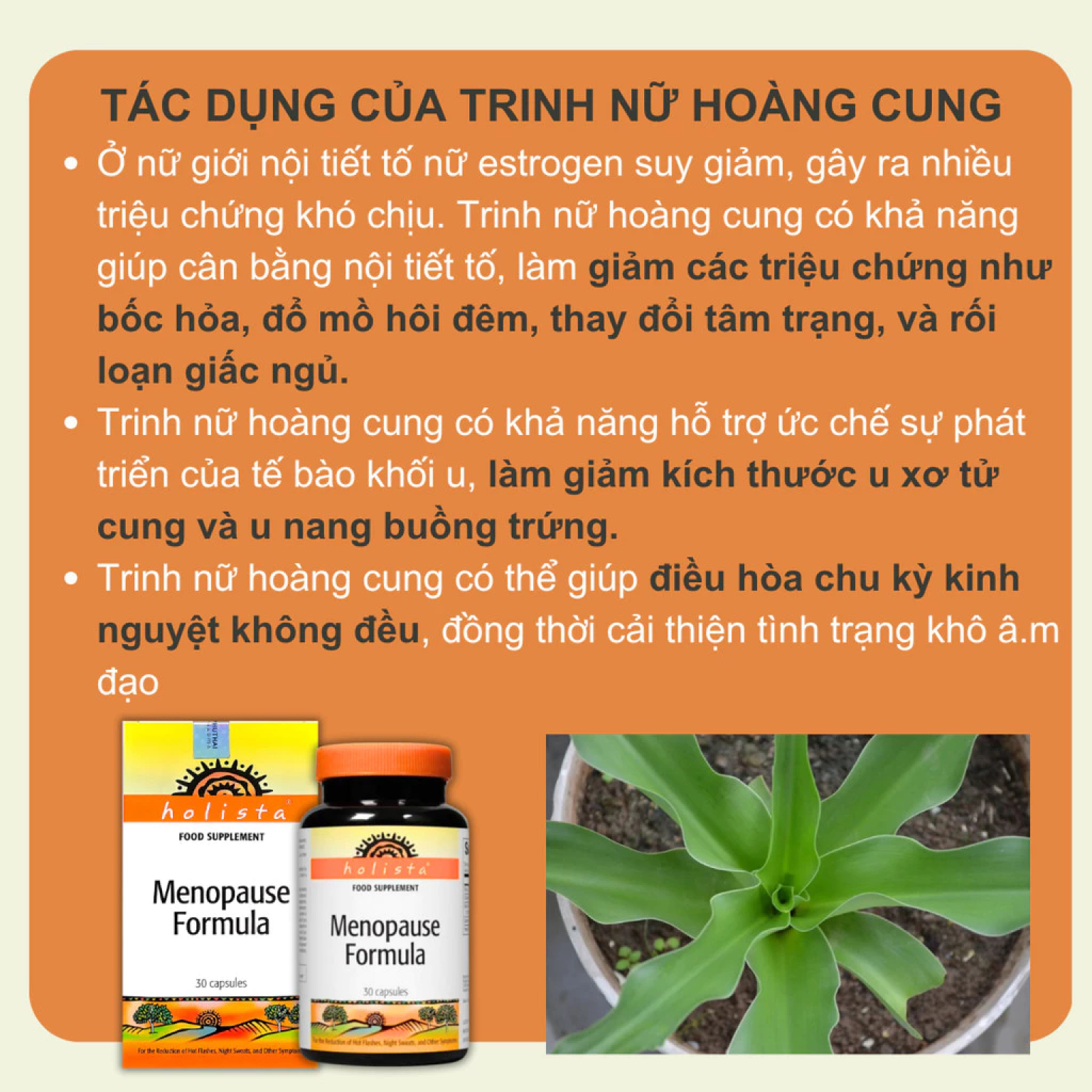 menopause (7) Menopause (7)