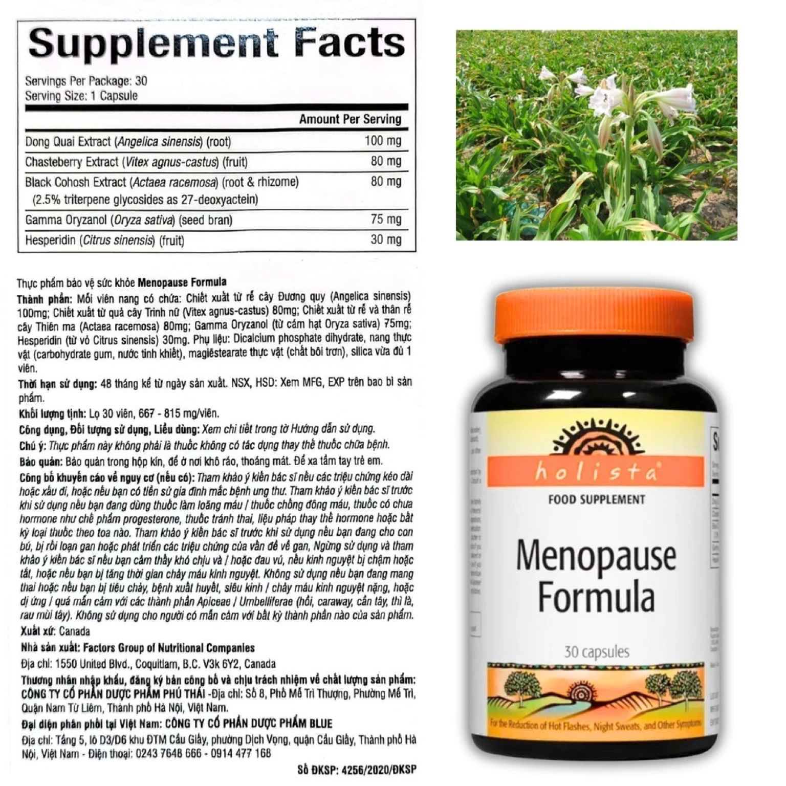 menopause (9) Menopause (9)