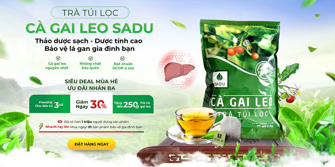 Dgm nttt banner ca gai leo 1100 550px