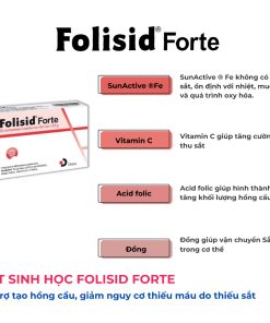 Fosilid forte 1 (2)