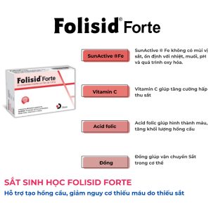 Fosilid forte 1 (2)