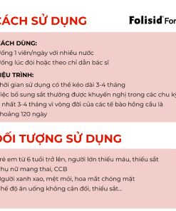 Fosilid forte 1 (4)