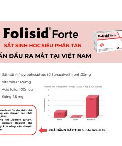 Fosilid forte 1 (5)