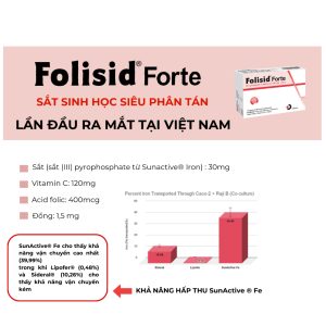 Fosilid forte 1 (5)
