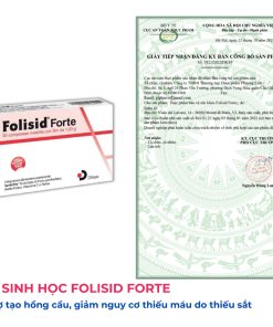 Fosilid forte 1 (6)