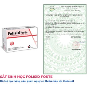 Fosilid forte 1 (6)